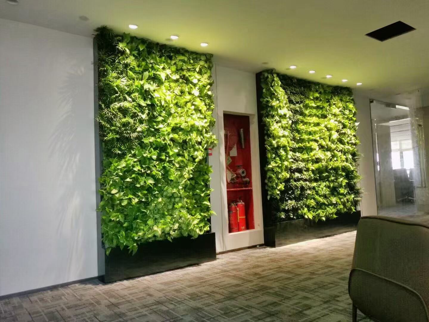 泰州 室内绿植造景  工厂供应
