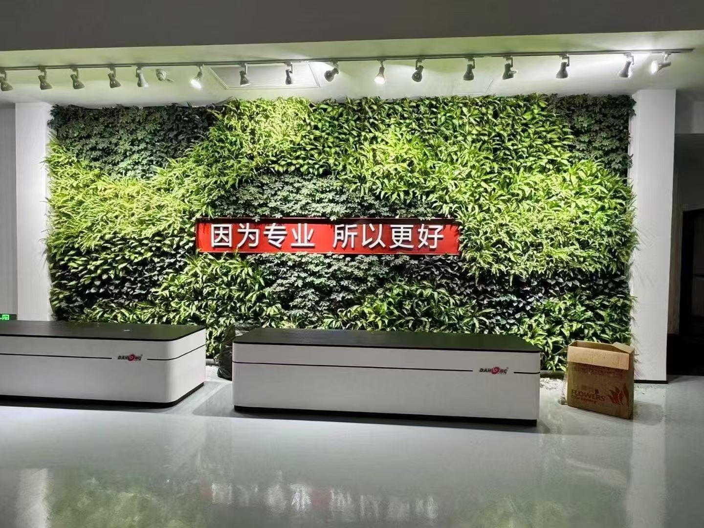 扬州 室内绿植造景  厂家