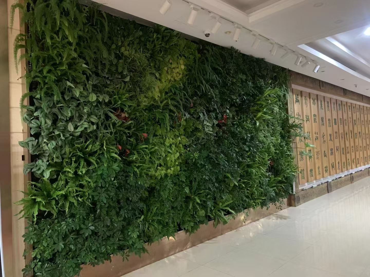 上海 室内绿植造景  免费设计安装