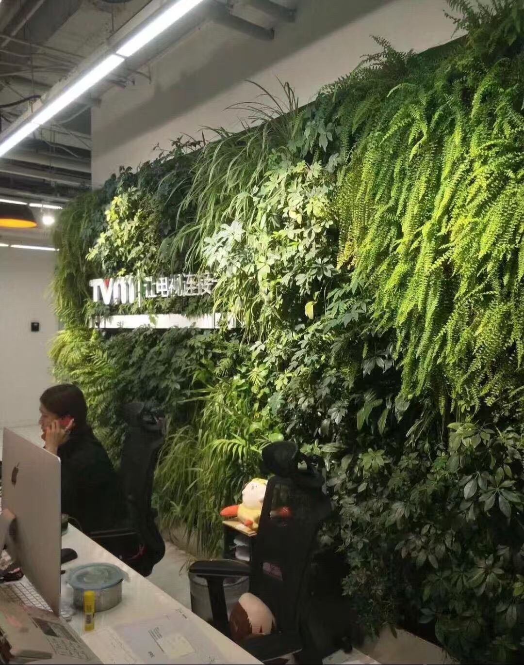 嘉兴 室内绿植景观  工厂批发