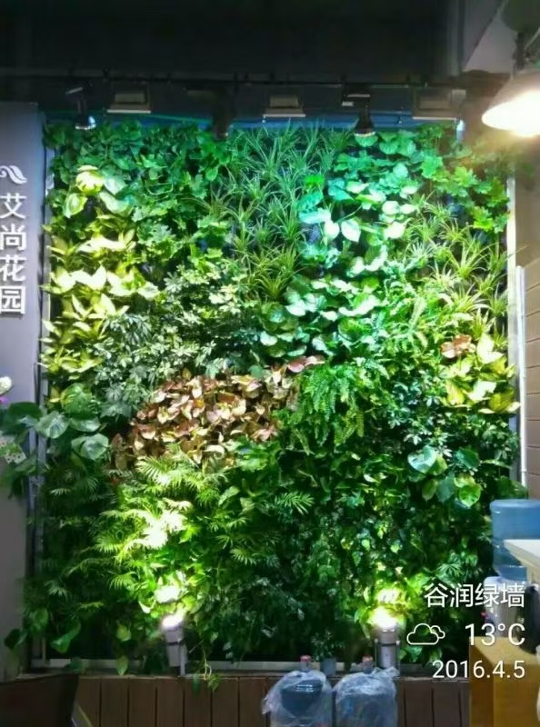 丽水 室内绿植景观  工厂货源