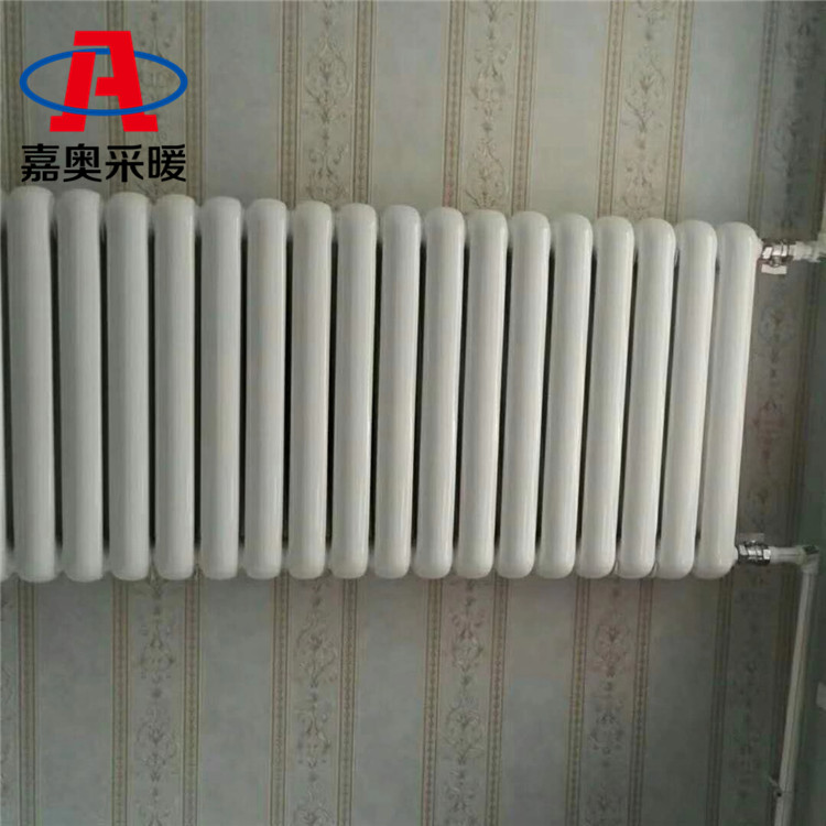 电厂用工程钢二柱暖气片图纸