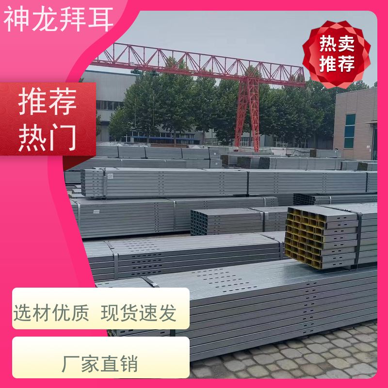 神龙拜耳 光伏支架成型机 快速响应 厂商