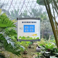 养生会所负氧离子浓度监测仪 室内温泉区负氧离子监测显示器