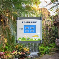 室内植物园负氧离子在线监测仪 科研实验室空气负离子测定仪
