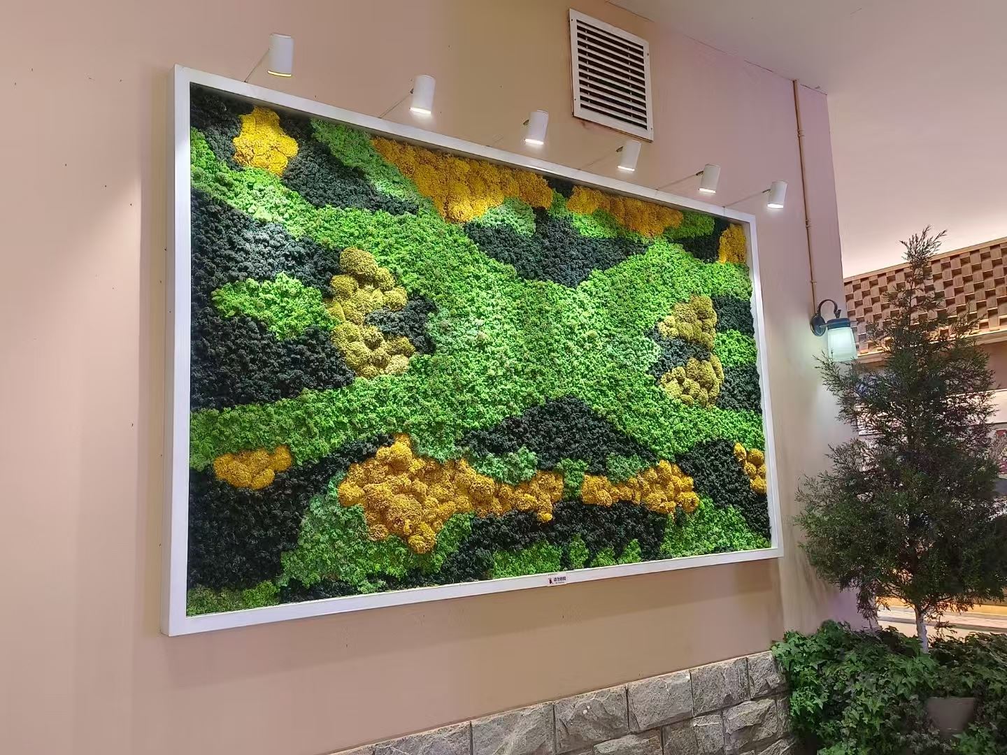 徐州 室内绿植造景  工厂供应