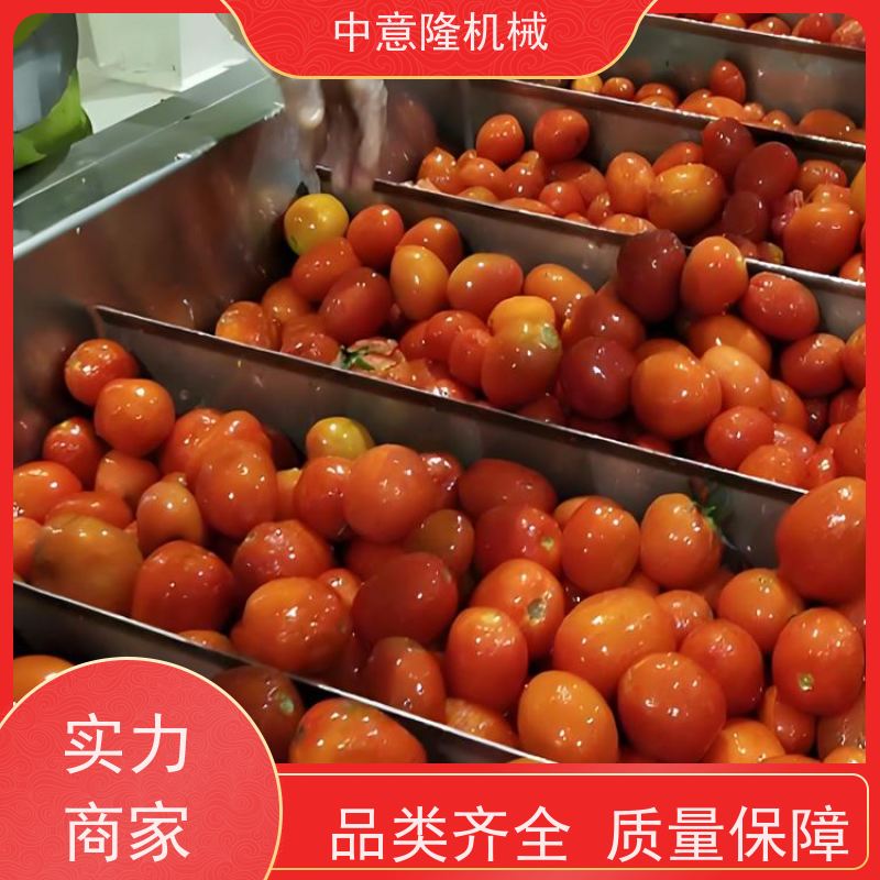 中意隆 果酱加工设备 成套草莓酱生产设备 自动化程度高