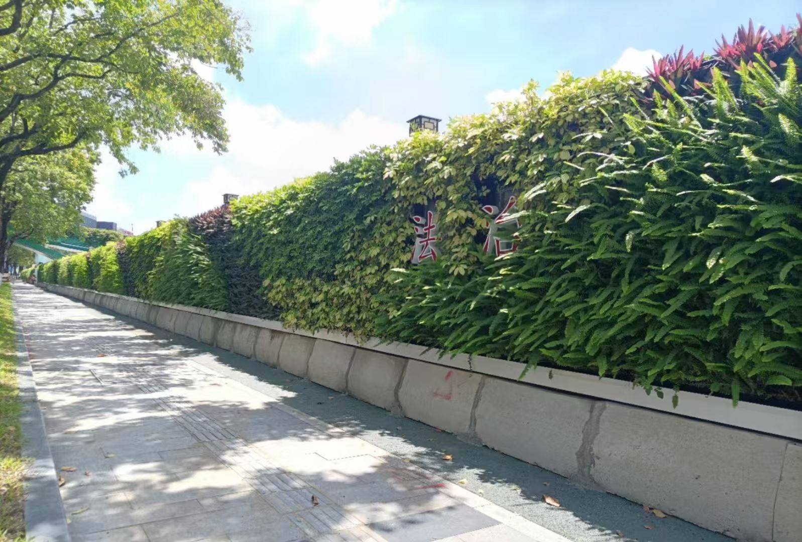 苏州 室内绿植景观  生产厂家