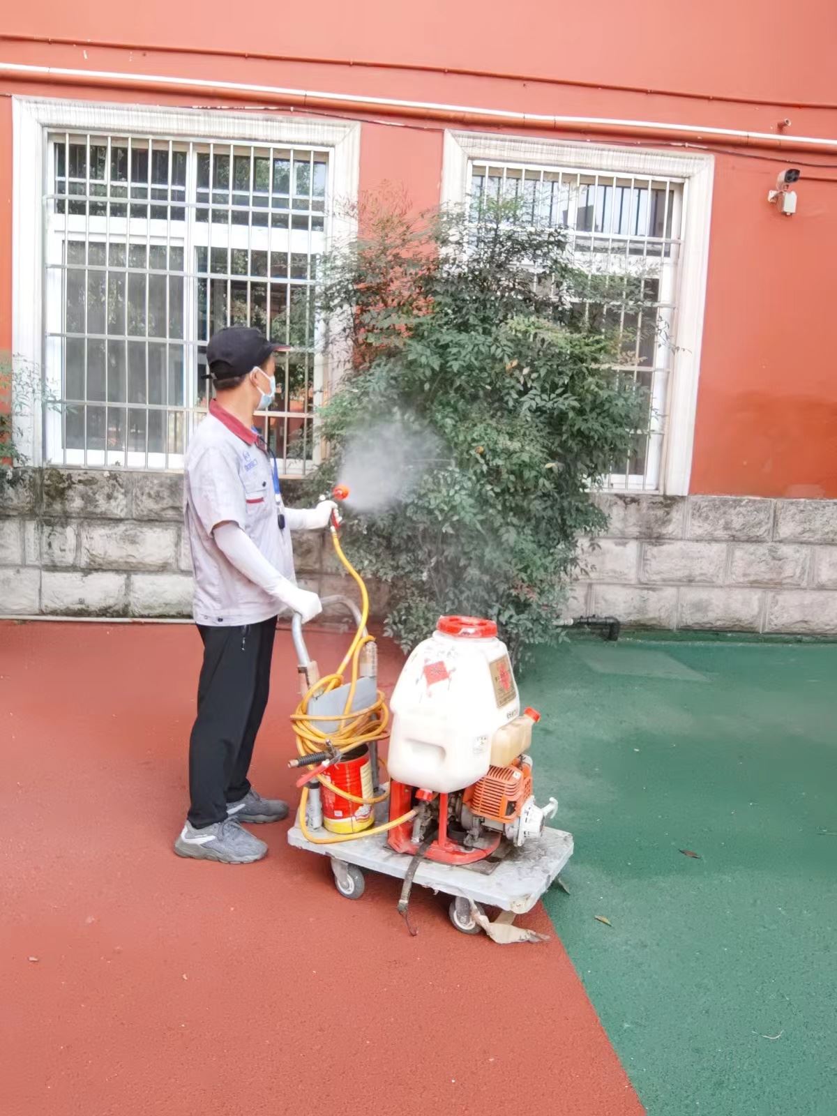阆中市写字楼灭白蚁电话