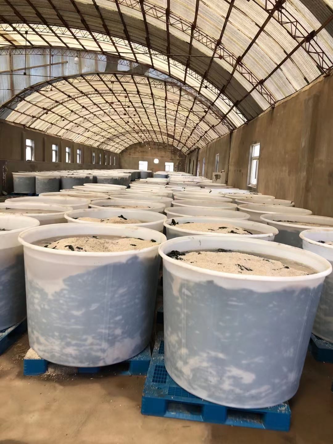 四川 竹笋桶蔬菜腌制桶    供应