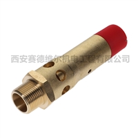 2205400208阿特拉斯空压机安全阀