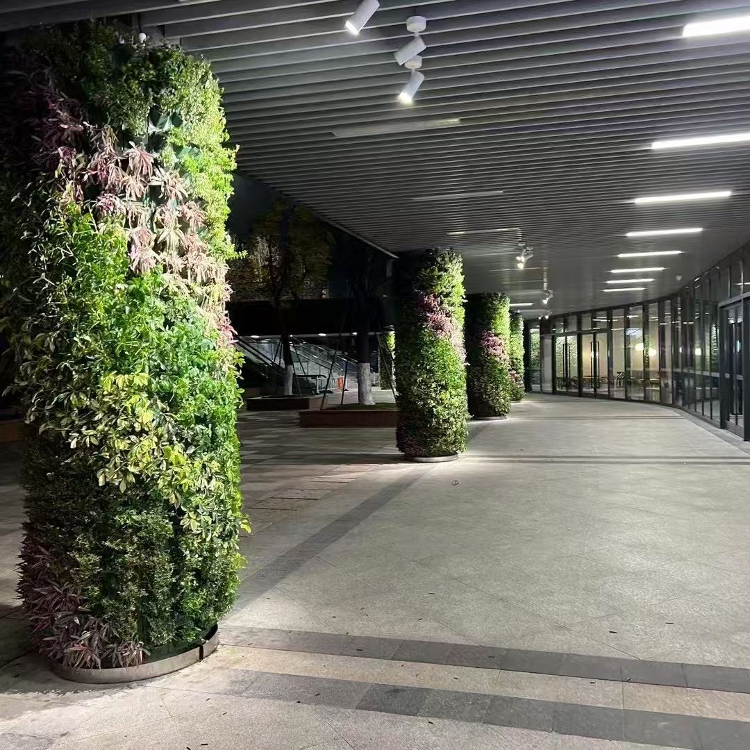 衢州 室内绿植造景  工厂供应
