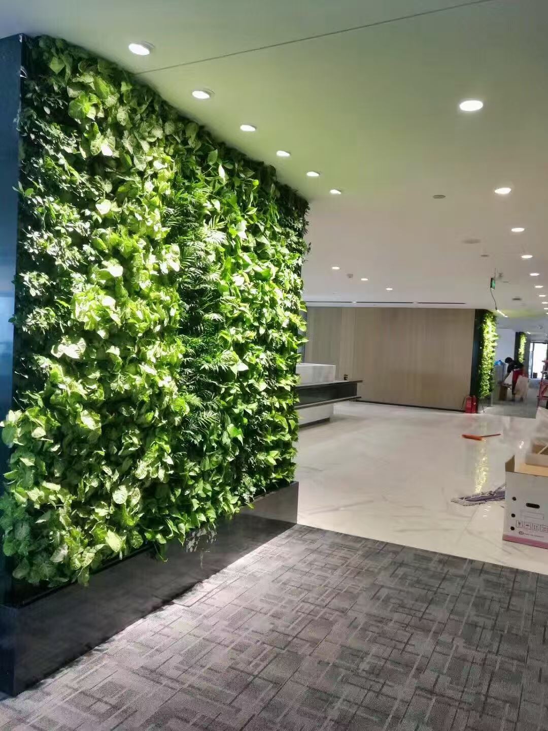 嘉兴 立体绿植墙  批发价格