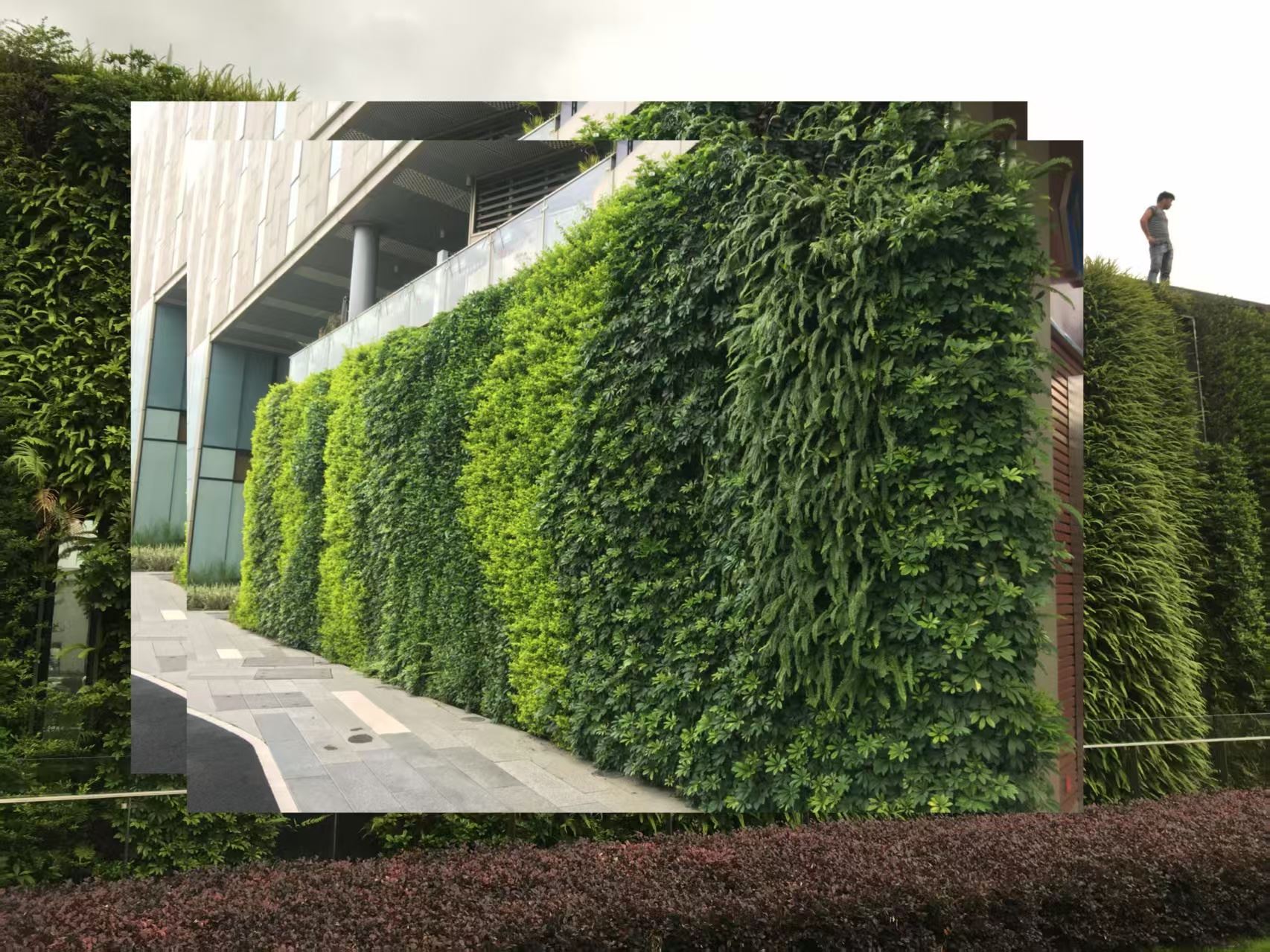 盐城 室内绿植造景  工厂供应