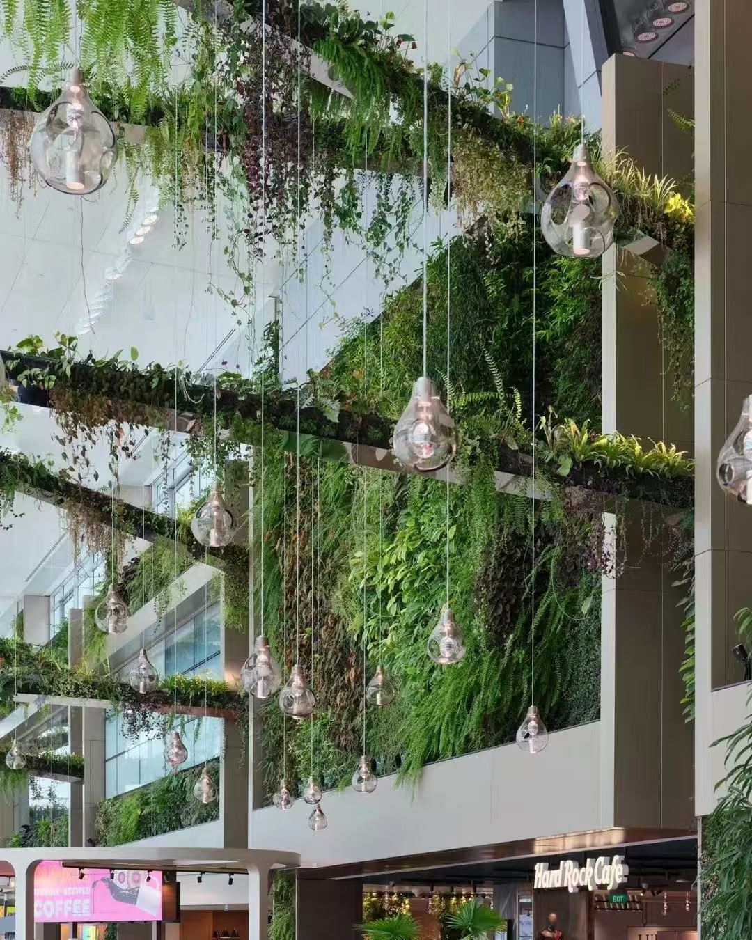 镇江 室内绿植造景  价格实惠