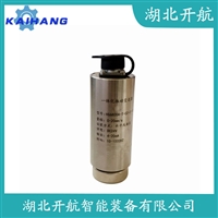 振动传感器 CZ810