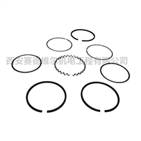 8168，2022115201阿特拉斯空压机活塞环维修包