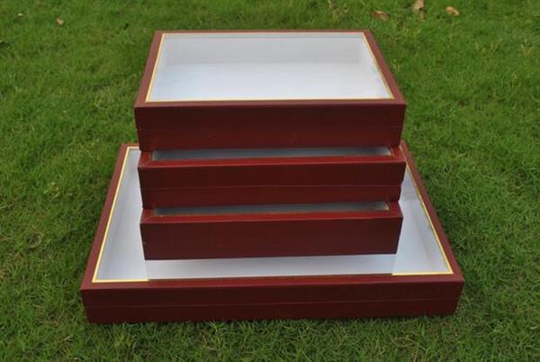 实验室专用植物标本盒 昆虫标本盒