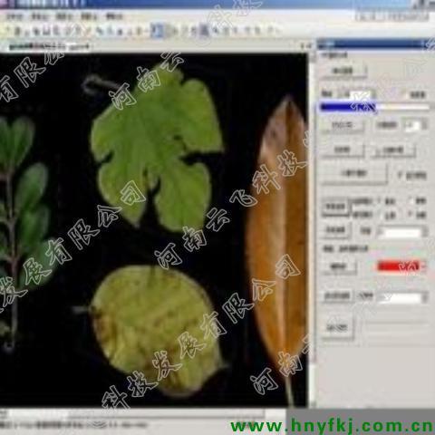 植物图像分析系统厂家   植物图像分析系统价格   河南云飞