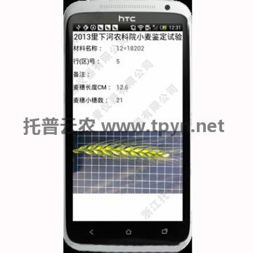 麦穗形态测量仪TPMS-X-I