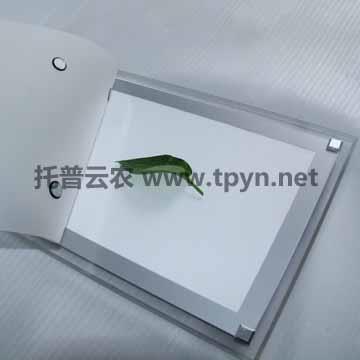 作物叶片形态测量仪