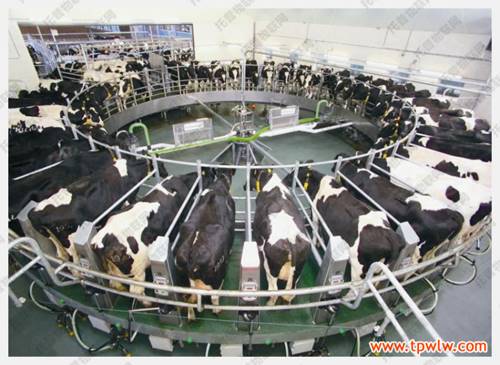 畜禽养殖监控系统,畜禽养殖监控系统具体介绍