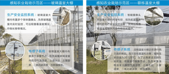 温室大棚控制系统的设计原理及使用方案