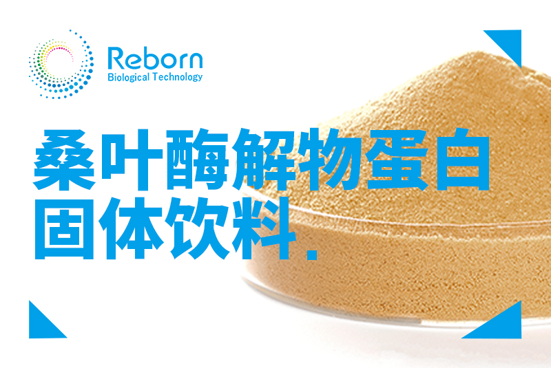 桑叶酶解物蛋白固体饮料