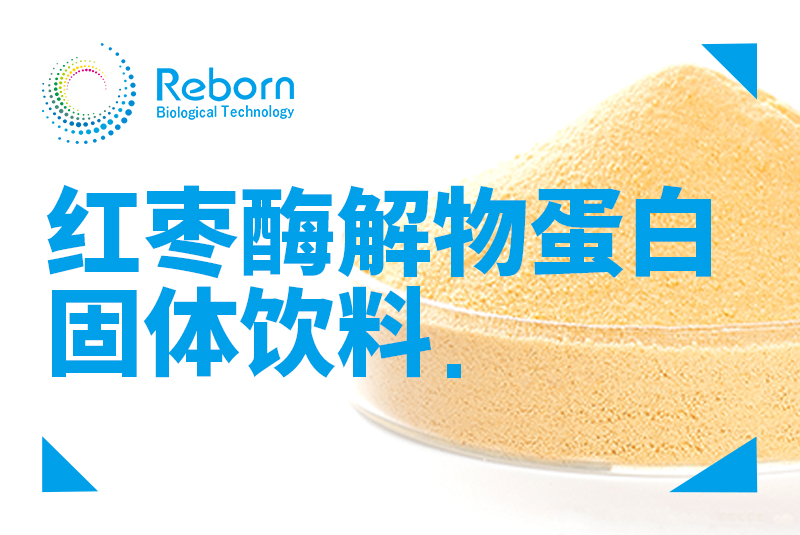 红枣酶解物蛋白固体饮料