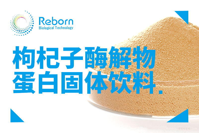 枸杞酶解物蛋白固体饮料