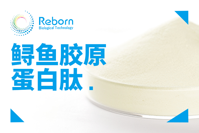 鲟鱼胶原蛋白肽