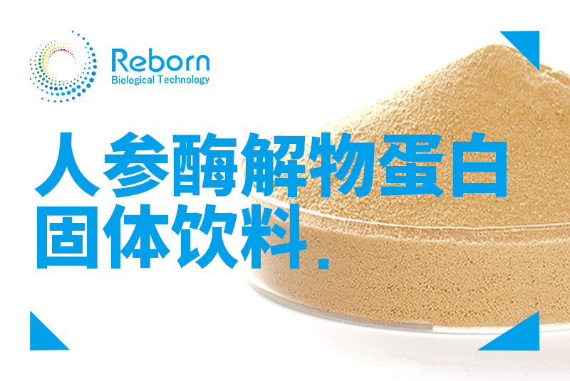 人参酶解物蛋白固体饮料