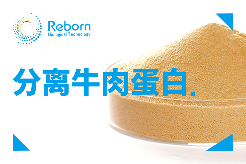 分离牛肉蛋白