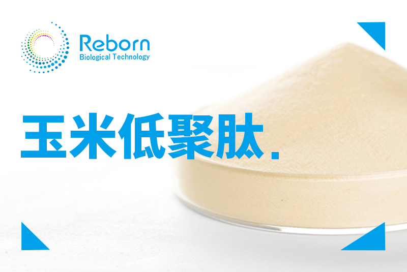 玉米低聚肽
