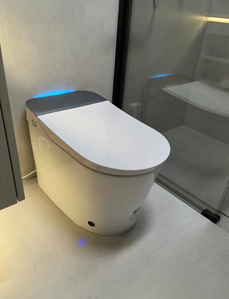 Intelligent toilet fully automatic flushing, drying and instant heating household toilet