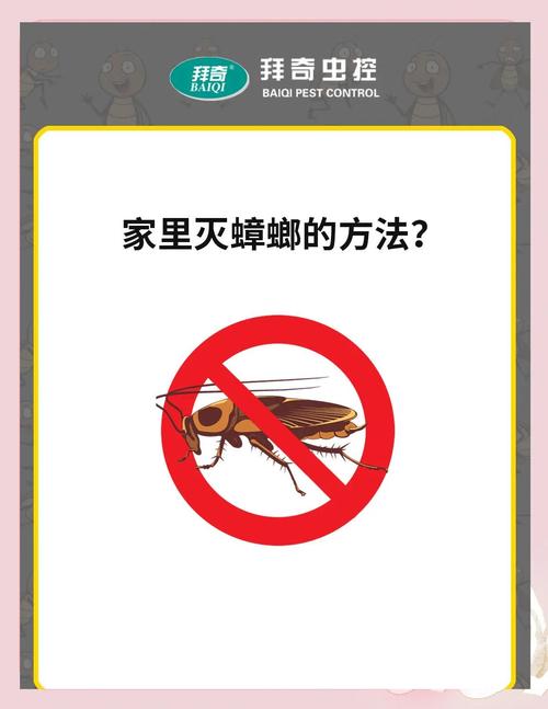 蟑螂专项灭杀服务 上门快速除蟑 餐饮家庭通用防治方案