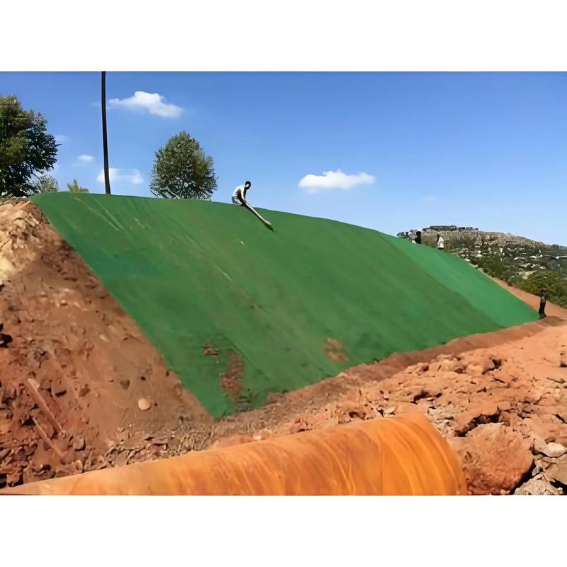 云南三维植被网护坡绿化 高拉伸强度耐腐蚀 公路铁路边坡防护