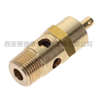 1625185447 阿特拉斯空压机配件 安全阀