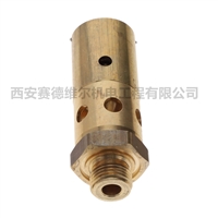 0830100503阿特拉斯空压机配件安全阀