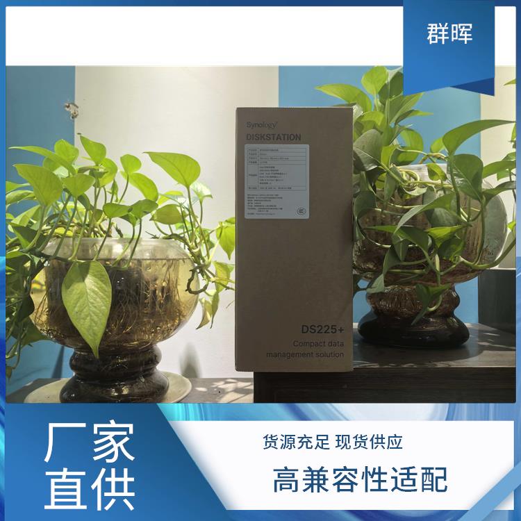 群晖（Synology) 两盘位 网络存储服务器 数据保护可靠