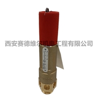 0830100807阿特拉斯空压机配件安全阀