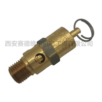 0830100908阿特拉斯空压机配件安全阀