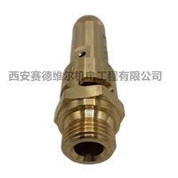 0830101137阿特拉斯空压机配件安全阀