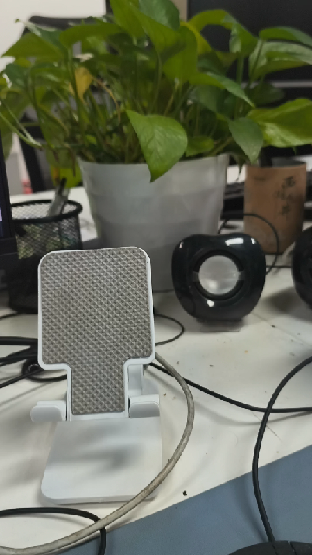 单丛，高山云雾