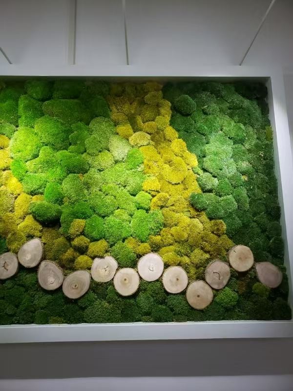 宿迁 苔藓地毯  厂家价格