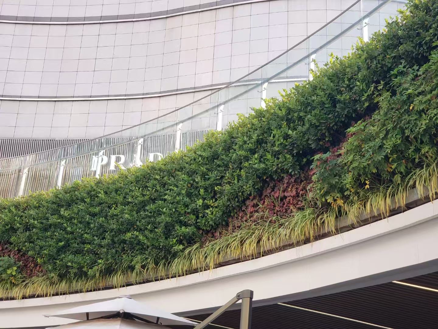 扬州 室内绿植造景  厂家直供
