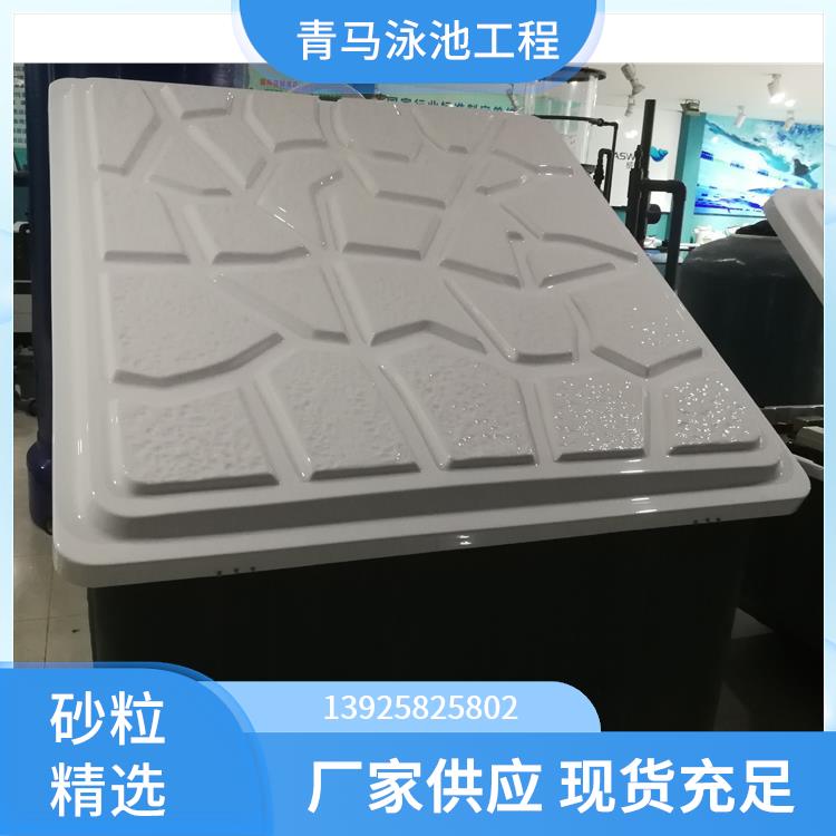 青马 EMD泳池地埋式一体化过滤设备 节省絮凝剂药品 运行稳定性能佳