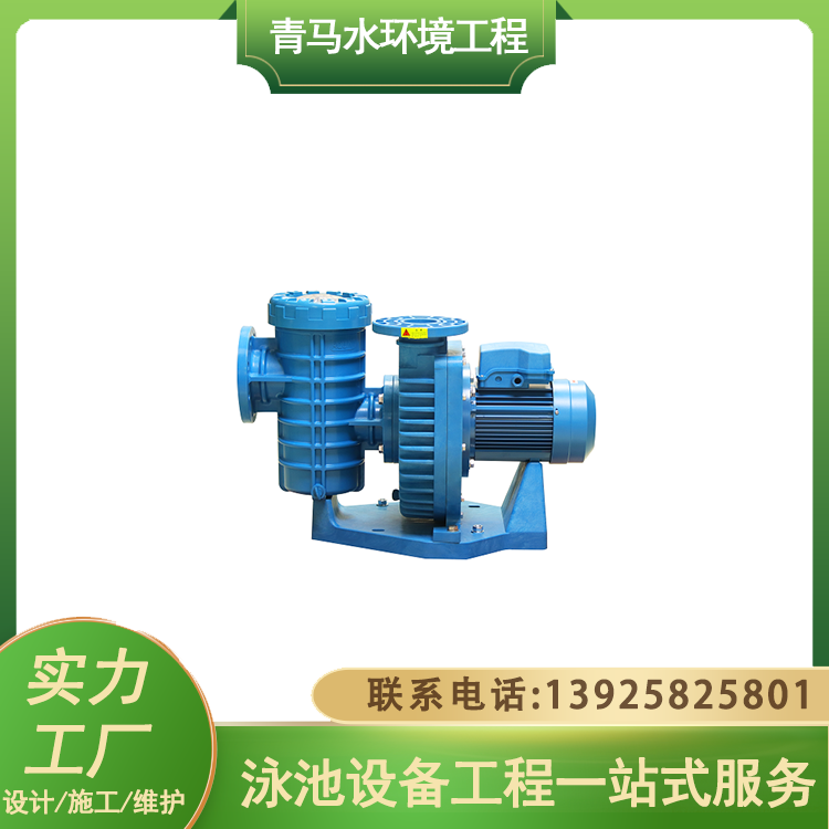 重力式水处理设备精滤器 景观池水循环过滤系统 青马