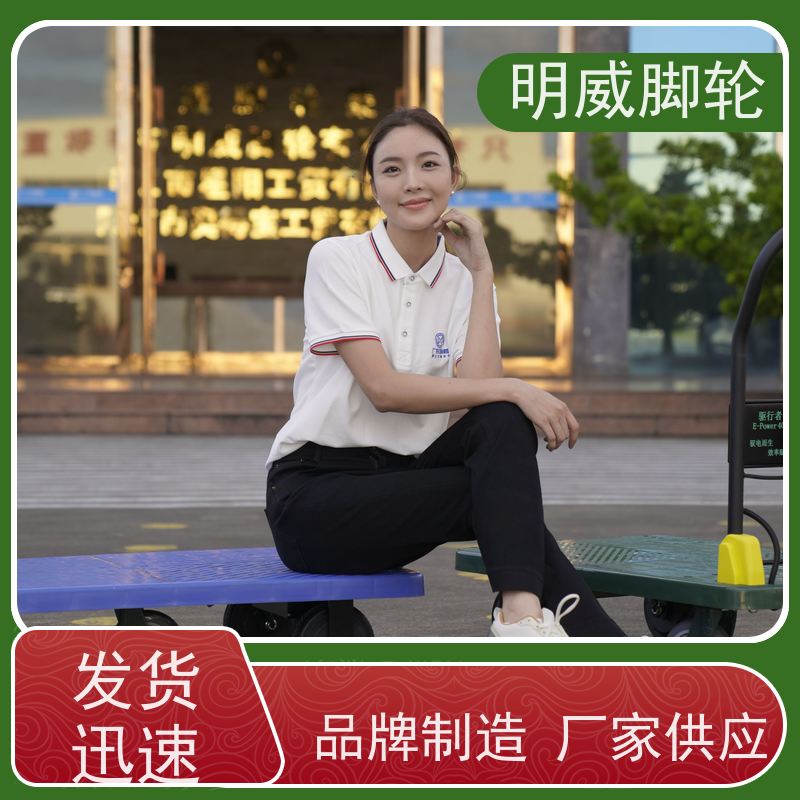 明威mw 60*90cm 电动搬运平板手推车 免安装 厂家