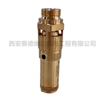 0830100902，0830101248阿特拉斯空压机配件安全阀